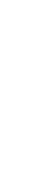 認定入国